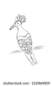 Hand drawn sketch style Madagascan hoopoe isolated on white background. Vector illustration.