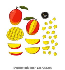 Hand drawn sketch style mango set on white background. Color illustration. 