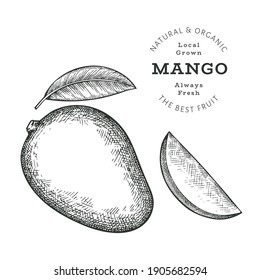 Mango estilo boceto dibujado a mano. Ilustración vectorial de alimentos frescos orgánicos aislados en fondo blanco. Ilustración retro de fruta exótica. Imagen botánica de estilo grabado.