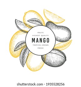 Hand drawn sketch style mango banner. Organic fresh fruit vector illustration. Retro mango fruit design template