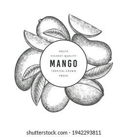 Hand drawn sketch style mango banner. Organic fresh fruit vector illustration. Retro mango fruit design template