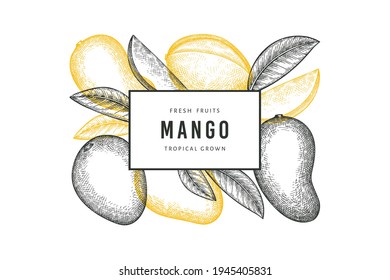 Banner de mango estilo boceto dibujado a mano. Ilustración vectorial de fruta fresca orgánica. Plantilla de diseño de frutos de mango retro