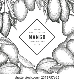 Banner de mango estilo boceto dibujado a mano. Ilustración vectorial de fruta fresca orgánica. Plantilla de diseño de frutos de mango retro