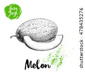 Hand drawn sketch style melon composition isolated on white background. Farm fresh food vector illustration.