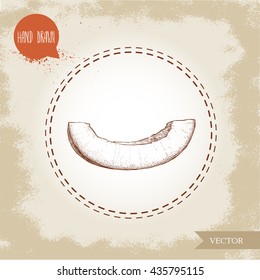 Hand drawn sketch style melon slice. Organic food vector illustration.