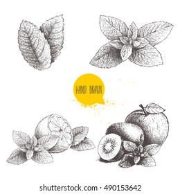 Hand drawn sketch style mint illustrations set. Mint leafs, lemon or lime fruit with peppermint, apple, kiwi fruits with mint leafs. Herbal healthy product collection isolated on white background.