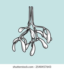 Mão desenhado esboço estilo visco ramo com bagas. Elemento de design de Natal. Ilustração vetorial isolada em branco.