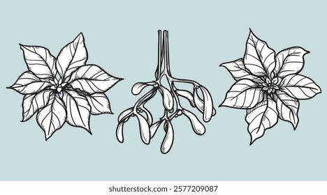 Hand drawn sketch style mistletoe branch and poinsettia flowers set. Christmas plants in retro vintage. Vector illustrations.