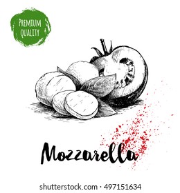 Hand drawn sketch style mozzarella cheese with basil leafs and half of tomato. Caprese salad ingredients. Vector organic food illustration poster. Quality italian product.