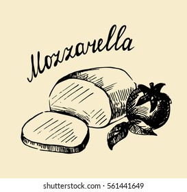 Hand drawn sketch style mozzarella cheese with basil leafs and half of tomato. Vector organic food illustration poster. 