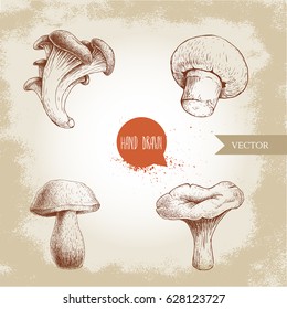 Hand drawn sketch style mushrooms set. Champignon, oyster, chanterelle and porcini mushrooms. Organic eco raw food vector illustrations.