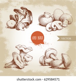 Hand drawn sketch style mushrooms compositions set. Champignon with cuts, oysters, chanterelles and porcini mushrooms. Organic eco raw food vector illustrations.