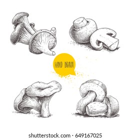Hand drawn sketch style mushrooms compositions set. Champignons, oysters, chanterelles and porcini mushrooms. Organic forest and farm fresh food vector illustrations isolated on white background.