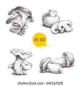 Hand drawn sketch style mushrooms compositions set. Champignon with slices, oysters, chanterelles and porcini mushrooms. Farm fresh food vector illustrations isolated on white background.