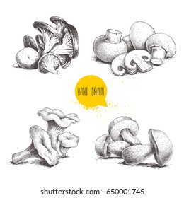 Hand drawn sketch style mushrooms compositions set. Champignon with cuts, oysters, chanterelles and porcini mushrooms. Organic farm and forest food vector illustrations isolated on white background.