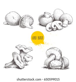 Hand drawn sketch style mushrooms compositions set. Champignon with cuts, oysters, chanterelles and porcini mushrooms. Organic farm and forest food food vector illustrations.