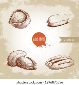 Hand drawn sketch style nuts set. Hazelnut, peanut, Brazilian nut and pecan. Cores and with nutshells. Healthy food illustration. Vector drawings isolated on retro background.