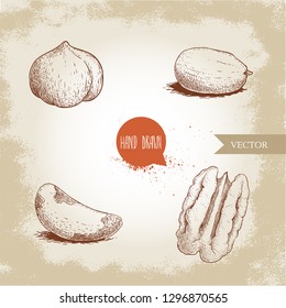 Hand drawn sketch style nuts set. Cores of hazelnut, peanut, Brazilian nut and pecan. Healthy food illustration. Vector drawings isolated on retro background.