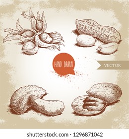 Hand drawn sketch style nuts set. Hazelnuts with leaves, peanuts, Brazilian nuts and pecan groups. Healthy food illustration. Vector drawings isolated on retro background.