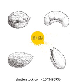 Hand drawn sketch style nuts set. Walnut, cashew, almond and pistachio. Collection of healthy natural food. Vector illustrations isolated on white background.