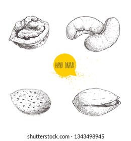 Hand drawn sketch style nuts set. Walnut, cashew, almond and pistachio. Collection of healthy natural food. Vector illustrations isolated on white background.