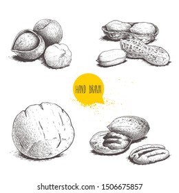 Hand drawn sketch style nuts set. Hazelnuts with leaves, peanuts, Brazilian nuts and pecan groups. Healthy food illustration. Vector drawings isolated on white background.