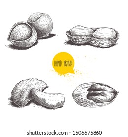 Hand drawn sketch style nuts set. Hazelnuts, peanuts, Brazilian nuts and pecan groups. Healthy food illustration. Vector drawings isolated on white background.