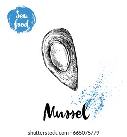 Hand drawn sketch style opened and boiled fresh mussel. Seafood vector illustration poster for fish markets and restaurants menu.