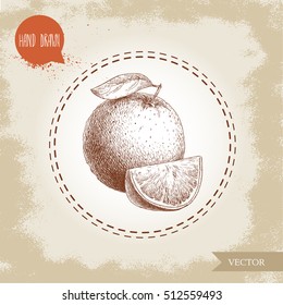 Hand drawn sketch style orange fruit composition. Whole fruit and segment slice. Hand made vector citrus fruit illustration isolated on old looking background.