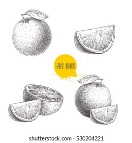 Hand drawn sketch style orange fruit compositions set. Whole fruit and slices. Vector citrus fruit illustration isolated on white background.