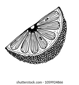Hand drawn sketch style Oranges fruit.Vector illustration