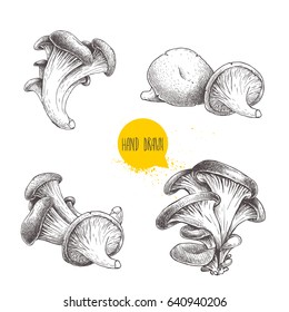 Hand drawn sketch style oyster mushroom set isolated on white background. Fresh farm food vector illustrations collection.