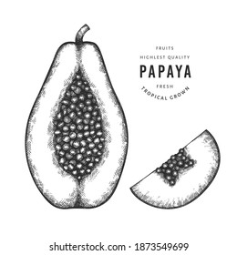 Hand drawn sketch style papaya. Organic fresh food vector illustration isolated on white background. Retro fruit illustration. Engraved style botanical picture.