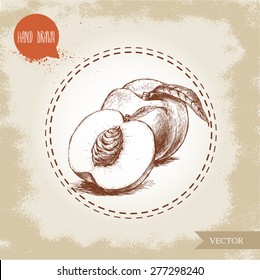 Hand drawn sketch style peach fruit. Vintage eco food vector illustration. Ripe peach and peach half. Grunge background.