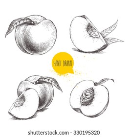 Hand drawn sketch style peach fruit set. Vintage eco food vector illustration. Ripe peach, peach slices. White background