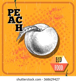 Hand drawn sketch style peach fruit. Vintage eco food vector illustration. Half tone yellow background.