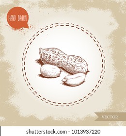 Hand drawn sketch style peanuts group. Roasted or fresh seeds and peanut pod isolated on old looking background. Organic food, cosmetic component. Vector illustration.