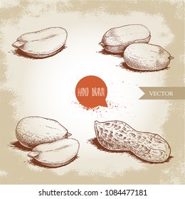 Hand drawn sketch style peanuts set. Organic food. Seed compositions and peanut pod. Retro style vector illustration isolated on vintage background.