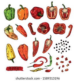 Hand drawn sketch style pepper set. Bell pepper, chilli, peas, cayenne pepper, chopped pepper. Color illustration. 