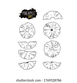 Hand drawn sketch style pineapple chips set. Vector illustration. 