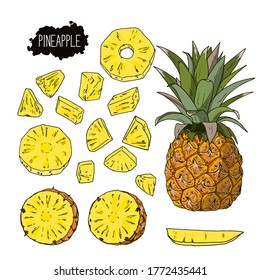 Conjunto de piña con estilo de boceto dibujado a mano. Trozos de piña. Ilustración de color. 