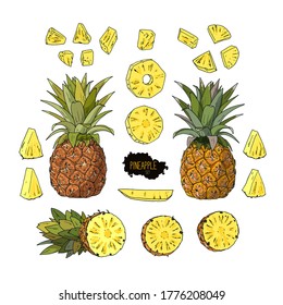 Conjunto de piña con estilo de boceto dibujado a mano. Ripe, mitad, rodaja piña. Ilustración de color. 