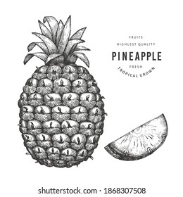 Hand drawn sketch style pineapple. Organic fresh food vector illustration isolated on white background. Retro fruit illustration. Engraved style botanical picture.