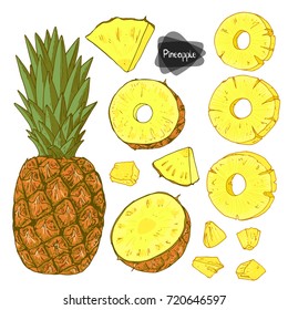 Hand drawn sketch style pineapple set on white background. Color illustration. 