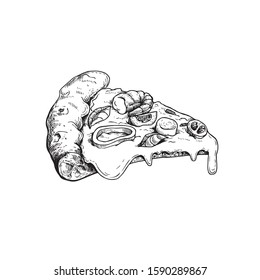 Hand drawn sketch style pizza slice. Seafood pizza Frutti Di Mare with shrimp, scallop, squid ring, cherry tomato slices and melted cheese. Best for pizzeria package and menu designs. 