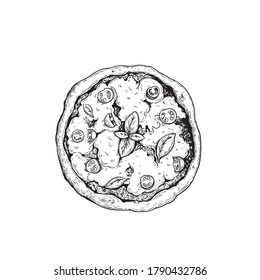 Hand drawn sketch style pizza Margherita. Top view. Traditional Italian cuisine. Dough, tomato sauce,  melted mozzarella cheese and basil leaves. Best for pizza house (pizzeria) menus, packages etc.