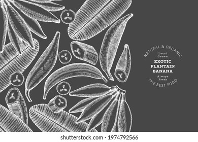 Hand drawn sketch style plantain banner. Organic fresh fruit vector illustration on chalk board. Retro exotic banana fruit design template