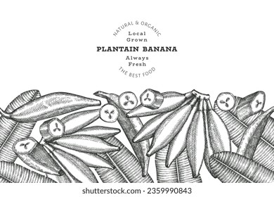 Hand drawn sketch style plantain banner. Organic fresh fruit vector illustration. Retro exotic banana fruit design template