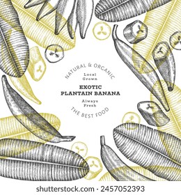 Hand drawn sketch style plantain banner. Organic fresh fruit vector illustration. Retro exotic banana fruit design template