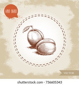 Hand drawn sketch style plums group. Organic eco fruit vector illustration. Isolated on old looking background.